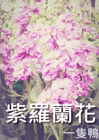 紫罗兰花种几月种